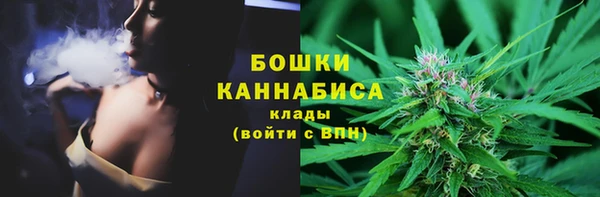 винт Касимов