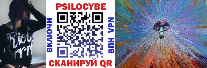 Галлюциногенные грибы Psilocybine cubensis  Купить  Кодинск 